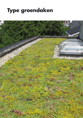 Type groendaken

4

 