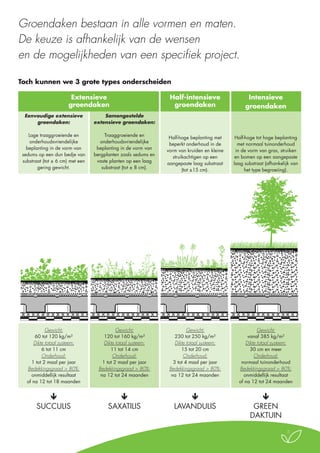 Groendaken bestaan in alle vormen en maten.
De keuze is afhankelijk van de wensen
en de mogelijkheden van een specifiek project.
Toch kunnen we 3 grote types onderscheiden
Extensieve
groendaken

Half-intensieve
groendaken

Intensieve
groendaken

Eenvoudige extensieve
groendaken:

Samengestelde
extensieve groendaken:

Lage traaggroeiende en
onderhoudsvriendelijke
beplanting in de vorm van
sedums op een dun bedje van
substraat (tot ± 6 cm) met een
gering gewicht.

Traaggroeiende en
onderhoudsvriendelijke
beplanting in de vorm van
bergplanten zoals sedums en
vaste planten op een laag
substraat (tot ± 8 cm).

Half-hoge beplanting met
beperkt onderhoud in de
vorm van kruiden en kleine
struikachtigen op een
aangepaste laag substraat
(tot ±15 cm).

Half-hoge tot hoge beplanting
met normaal tuinonderhoud
in de vorm van gras, struiken
en bomen op een aangepaste
laag substraat (afhankelijk van
het type begroeiing).

Gewicht:
60 tot 120 kg/m²
Dikte totaal systeem:
6 tot 11 cm
Onderhoud:
1 tot 2 maal per jaar
Bedekkingsgraad > 80%:
onmiddellijk resultaat
of na 12 tot 18 maanden

Gewicht:
120 tot 160 kg/m²
Dikte totaal systeem:
11 tot 14 cm
Onderhoud:
1 tot 2 maal per jaar
Bedekkingsgraad > 80%:
na 12 tot 24 maanden

Gewicht:
230 tot 250 kg/m²
Dikte totaal systeem:
15 tot 20 cm
Onderhoud:
3 tot 4 maal per jaar
Bedekkingsgraad > 80%:
na 12 tot 24 maanden

Gewicht:
vanaf 385 kg/m²
Dikte totaal systeem:
30 cm en meer
Onderhoud:
normaal tuinonderhoud
Bedekkingsgraad > 80%:
onmiddellijk resultaat
of na 12 tot 24 maanden


SUCCULIS


SAXATILIS


LAVANDULIS


GREEN
DAKTUIN
5

 