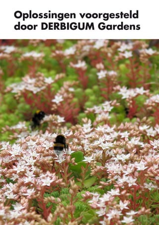 Oplossingen voorgesteld
door DERBIGUM Gardens

8

 