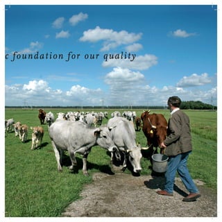 c foundation for our quality
 