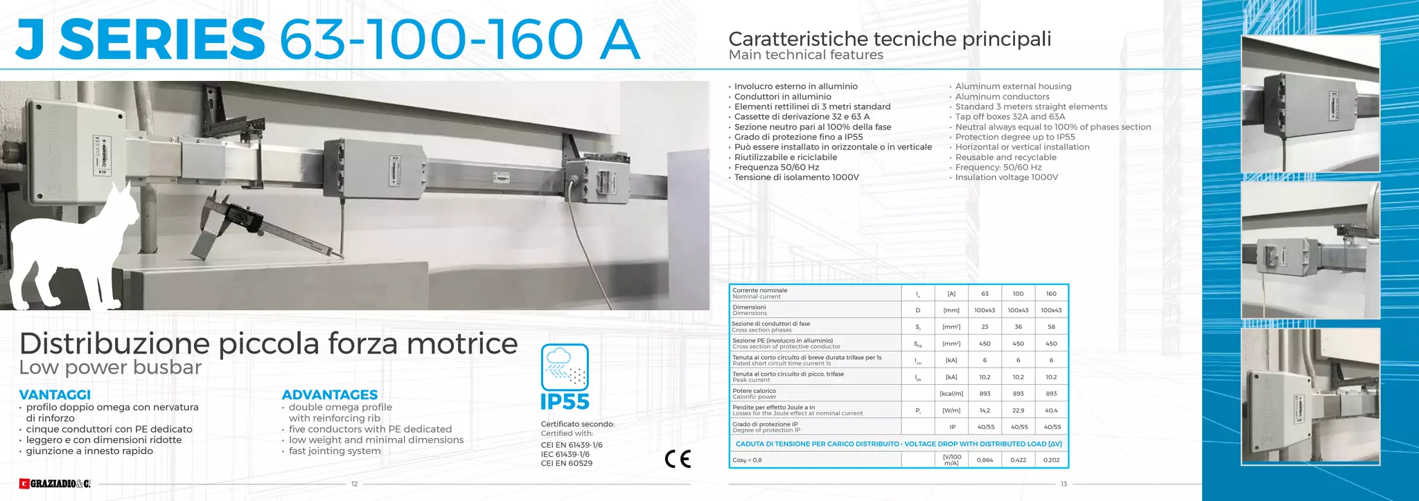 Graziadio busbar 2020 PPT