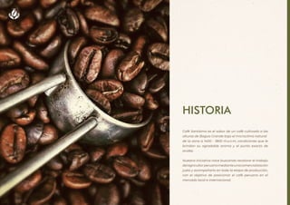 HISTORIA
Café Santísimo es el sabor de un café cultivado a las
alturas de Bagua Grande bajo el microclima natural
de la zo...