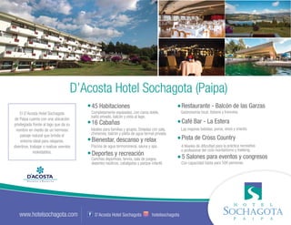Brochure grupo D'Acosta 2017