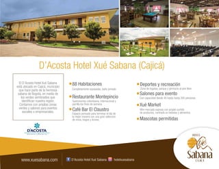 Brochure grupo D'Acosta 2017