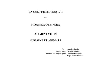 LA CULTURE INTENSIVE 
DU 
MORINGA OLEIFERA 
ALIMENTATION 
HUMAINE ET ANIMALE 
Par : Lowell J. Fuglie 
Illustré par : Caroline Olivier 
Traduit de l’anglais par : Caroline Olivier et 
Papa Matar Ndiaye  