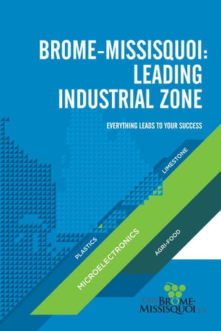 BROME-MISSISQUOI:
          LEADING
  INDUSTRIAL ZONE
      Everything leads to your success
 