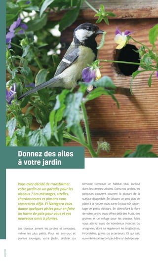 Faut-il installer une mangeoire pour les oiseaux dans votre jardin en  permaculture ?