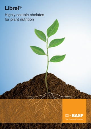 Librel®
Highly soluble chelates
for plant nutrition
 