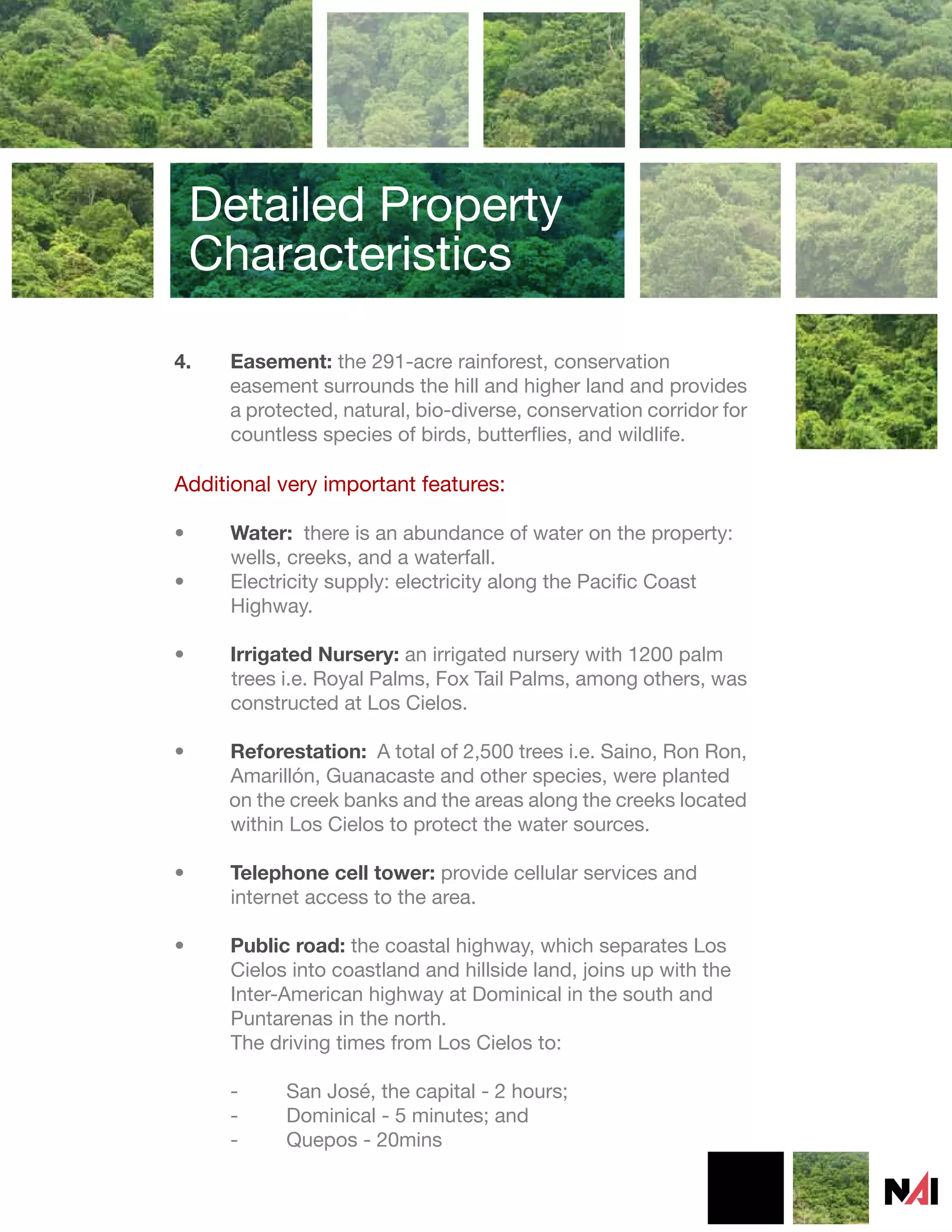 Detailed Property
    Characteristics

4.   Easement: the 291-acre rainforest, conservation
     easement surrounds the hill and higher land and provides
     a protected, natural, bio-diverse, conservation corridor for
     countless species of birds, butterflies, and wildlife.

Additional very important features:

•    Water: there is an abundance of water on the property:
     wells, creeks, and a waterfall.
•    Electricity supply: electricity along the Pacific Coast
     Highway.

•    Irrigated Nursery: an irrigated nursery with 1200 palm
     trees i.e. Royal Palms, Fox Tail Palms, among others, was
     constructed at Los Cielos.

•    Reforestation: A total of 2,500 trees i.e. Saino, Ron Ron,
     Amarillón, Guanacaste and other species, were planted
     on the creek banks and the areas along the creeks located
     within Los Cielos to protect the water sources.

•    Telephone cell tower: provide cellular services and
     internet access to the area.

•    Public road: the coastal highway, which separates Los
     Cielos into coastland and hillside land, joins up with the
     Inter-American highway at Dominical in the south and
     Puntarenas in the north.
     The driving times from Los Cielos to:

     -     San José, the capital - 2 hours;
     -     Dominical - 5 minutes; and
     -     Quepos - 20mins
 