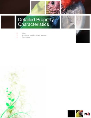 Detailed Property
    Characteristics
•    Total
•    Additional very important features
•    Conclusion
 