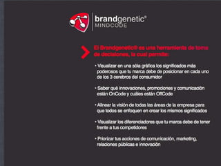 Brochure mindcode 2012