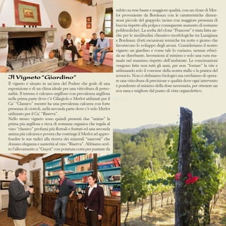 Il Vigneto “Giardino”
Il vigneto è situato in un’area del Podere che gode di una
esposizione e di un clima ideale per una viticoltura di personalità. Il terreno è calcareo-argilloso con prevalenza argillosa
nella prima parte dove c’è Ciliegiolo e Merlot utilizzati per il
Ca’ “Classico” mentre ha una prevalenza calcarea con forte
presenza di ciottoli, nella seconda parte dove c’è solo Merlot
utilizzato per il Ca’ “Riserva”.
Nello stesso vigneto sono quindi presenti due “anime” la
prima più argillosa e ricca di sostanza organica che regala al
vino “classico” profumi più floreali e fruttati ed una seconda
anima più calcarea e povera che costringe il Merlot ad approfondire le sue radici alla ricerca dei minerali “nascosti” che
donano eleganza e austerità al vino “Riserva”. Abbiamo scelto l’allevamento a “Guyot” con potatura corta per puntare da

subito su rese basse e maggiore qualità, con un clone di Merlot proveniente da Bordeaux con le caratteristiche dimensioni piccole del grappolo (acino con maggiore presenza di
buccia rispetto alla polpa e conseguente aumento di sostanze
polifenoliche). La scelta del clone “Francese” è stata fatta anche per le similitudini climatico-morfologiche tra Lunigiana
e Bordeaux (forti escursioni termiche tra notte e giorno che
favoriscono lo sviluppo degli aromi. Consideriamo il nostro
vigneto un giardino e come tale lo curiamo, nessun erbicida ne diserbante, lavorazioni al minimo e solo una cura manuale nel massimo rispetto dell’ambiente. Le concimazioni
vengono fatte non tutti gli anni, per non “forzare” la vite e
utilizzando solo il concime della nostra stalla o la pratica del
sovescio. Non ci definiamo biologici ma cerchiamo di operare una viticoltura di precisione e qualità dove ogni intervento
è ponderato al minimo della dose necessaria, per ottenere un
uva sana e migliore dal punto di vista organolettico.

 