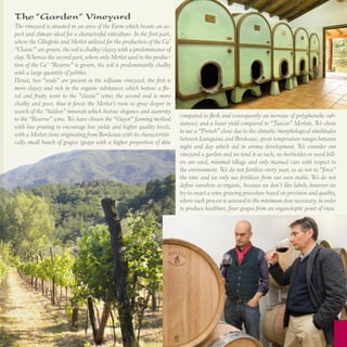 The “Garden” Vineyard
The vineyard is situated in an area of the Farm which boasts an aspect and climate ideal for a characterful viticulture. In the first part,
where the Ciliegiolo and Merlot utilized for the production of the Ca’
“Classic” are grown, the soil is chalky/clayey with a predominance of
clay. Whereas the second part, where only Merlot used in the production of the Ca’ “Reserve” is grown, the soil is predominantly chalky
with a large quantity of pebbles.
Hence, two “souls” are present in the selfsame vineyard: the first is
more clayey and rich in the organic substances which bestow a floral and fruity scent to the “classic” wine; the second soul is more
chalky and poor, thus it forces the Merlot’s roots to grow deeper in
search of the “hidden” minerals which bestow elegance and austerity
to the “Reserve” wine. We have chosen the “Guyot” farming method
with low pruning to encourage low yields and higher quality levels,
with a Merlot clone originating from Bordeaux with its characteristically small bunch of grapes (grape with a higher proportion of skin

compared to flesh and consequently an increase of polyphenolic substances) and a lower yield compared to “Tuscan” Merlots. We chose
to use a “French” clone due to the climatic/morphological similitudes
between Lunigiana and Bordeaux, great temperature ranges between
night and day which aid in aroma development. We consider our
vineyard a garden and we tend it as such, no herbicides or weed killers are used, minimal tillage and only manual care with respect to
the environment. We do not fertilize every year, so as not to “force”
the vine and we only use fertilizer from our own stable. We do not
define ourselves as organic, because we don’t like labels, however we
try to enact a wine growing procedure based on precision and quality,
where each process is assessed to the minimum dose necessary, in order
to produce healthier, finer grapes from an organoleptic point of view.

 