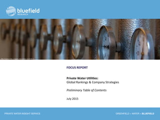PRIVATE WATER INSIGHT SERVICE
 GREENFIELD + WATER = BLUEFIELD 
FOCUS	
  REPORT	
  
	
  
Private	
  Water	
  U2li2es:	
  
Global	
  Rankings	
  &	
  Company	
  Strategies	
  
	
  
Preliminary	
  Table	
  of	
  Contents	
  
	
  
July	
  2015	
  
	
  
	
  	
  
	
  
Water Pressure // Flickr // Cropped // Hans Splinter // CC BY-ND 2.0
 