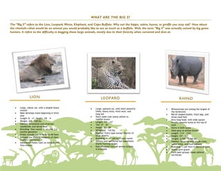WHAT ARE THE BIG 5?

The “Big 5” refers to the Lion, Leopard, Rhino, Elephant, and Cape Buffalo. Why not the hippo, zebra, hyena, or giraffe you may ask? How about
the cheetah—that would be an animal you would probably like to see as much as a buffalo. Well, the term “Big 5” was actually coined by big game
hunters. It refers to the difficulty in bagging these large animals, mostly due to their ferocity when cornered and shot at.




                LION                                               LEOPARD                                                 RHINO

      Large, robust cat, with a longish heavy               Large, spotted cat, with short powerful              Rhinoceroses are among the largest of
       muzzle                                                 limbs, heavy torso, thick neck, and                   the herbivores
      Male develops mane beginning in third                  long tail                                            Barrel-shaped bodies, thick legs, and
       year                                                  Short sleek coat tawny yellow to                      three-toed feet
      Length: 8 – 11'; Height: 3'8" – 4'                     reddish brown                                        Very long head, with wide square
      Weight: 268 – 528 lbs.                                Length: 3'4" – 4'2"                                   mouth; massive hump at the top of
      Habitat: Grasslands and savannas;                     Tail: 27 – 32"                                        neck
       woodlands; and dense bush                             Height: 23 – 28"                                     Horns in both sexes
      Breeding: Year-round; 1 – 4 cubs; 3.5                 Weight 62 – 143 lbs.                                 Slate-gray to yellow-brown
       months gestation
                                                             Habitat: Every type except interior of               Length: 11'4" – 13'4"
      Prides include two to three to 40 lions                large deserts                                        Height: 5'4" – 6'2"
      Females are lifelong residents of their               Breeding: 1 – 4 cubs born year-round                 Weight: 3,740 – 5,060 lbs.
       mothers’ territories
                                                             Solitary and territorial but sometimes               Habitat: Savannas with shade trees,
      Adolescent males roam as nomads until                  shares hunting ranges                                 water holes, and mud wallows
       they mature
                                                             Eats whatever form of animal protein                 Breeding: 1 calf form in March or April
                                                              is available                                         Nearly pure grazer
                                                                                                                   Form peer groups; males defend
                                                                                                                    territories
 