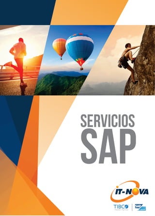 Brochure Servicios SAP
