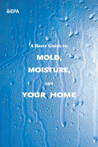 A BRIEF GUIDE TO

   MOLD,
MOISTURE,
       AND


YOUR HOME
 