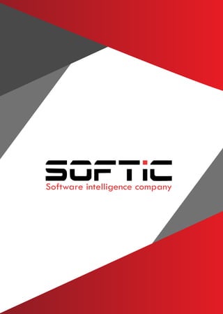 Software intelligence company
 