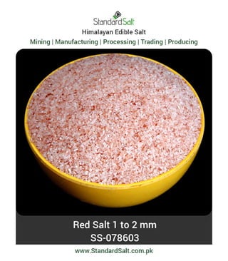 Brochure standard salt-pdf | PDF