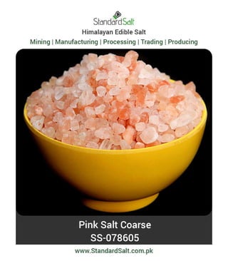 Standard Salt Brochure standard salt-pdf | PDF