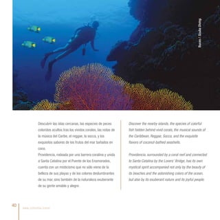 Buceo / Scuba Diving.
               Descubrir las islas cercanas, las especies de peces        Discover the nearby islands, the species of colorful
               coloridos ocultos tras los vívidos corales, las notas de   fish hidden behind vivid corals, the musical sounds of
               la música del Caribe, el reggae, la socca, y los           the Caribbean, Reggae, Socca, and the exquisite
               exquisitos sabores de los frutos del mar bañados en        flavors of coconut-bathed seashells.
               coco.
               Providencia, rodeada por una barrera coralina y unida      Providencia, surrounded by a coral reef and connected
               a Santa Catalina por el Puente de los Enamorados,          to Santa Catalina by the Lovers’ Bridge, has its own
               cuenta con un misticismo que no sólo viene de la           mystical spirit accompanied not only by the beauty of
               belleza de sus playas y de los colores deslumbrantes       its beaches and the astonishing colors of the ocean,
               de su mar, sino también de la naturaleza exuberante        but also by its exuberant nature and its joyful people.
               de su gente amable y alegre.




40   www.colombia.travel
 
