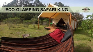 ECO-GLAMPING SAFARI KING
 
