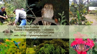 Tyquy Suna Ecolodge
Guasca - Cundinamarca - Colombia
cel. (+57)3203220499
web: https://glampingybosque.co
 
