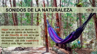SONIDOS DE LA NATURALEZA
Viajar no es solo un destino ni
tan solo un cambio de habitación,
es una filosofía de vida en la que
enriquecemos nuestra mente y
mejoramos con cada experiencia
vivida y cada lugar visitado…
 