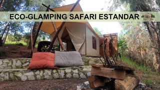 ECO-GLAMPING SAFARI ESTANDAR
 