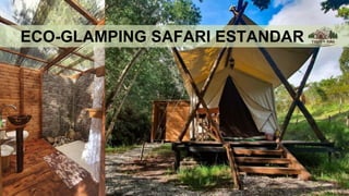 ECO-GLAMPING SAFARI ESTANDAR
 