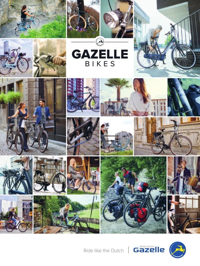 gazelle cityzen c8 belt drive bike