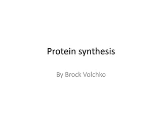 Protein synthesis
By Brock Volchko

 