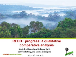 THINKING beyond the canopy
REDD+ progress: a qualitative
comparative analysis
Maria Brockhaus, Kaisa Korhonen-Kurki,
Jenniver Sehring, and Monica Di Gregorio
Bonn, 5th June 2013
 