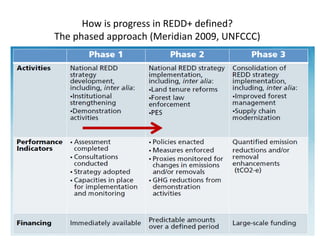 REDD+ progress: a qualitative comparative analysis