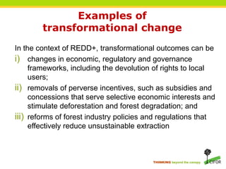 REDD+ progress: a qualitative comparative analysis