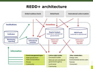 Forests, Climate Change and REDD+: A brief introduction | PPTX