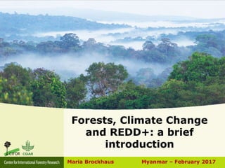 Forests, Climate Change
and REDD+: a brief
introduction
Maria Brockhaus Myanmar – February 2017
 