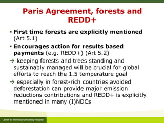 Forests, Climate Change and REDD+: A brief introduction