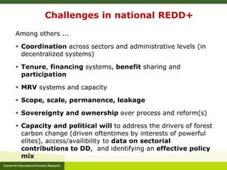 Forests, Climate Change and REDD+: A brief introduction