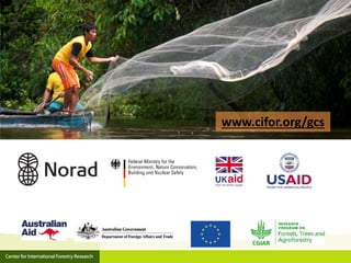 Forests, Climate Change and REDD+: A brief introduction