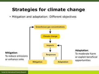 Strategies for climate change
 Mitigation and adaptation: Different objectives
Mitigation:
To reduce emissions
or enhance...