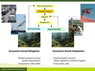 MITIGATION
GhG concentrations
Climate change
Impacts
Responses
Global ecosystem service:
Carbon sequestration.
Instrumen...