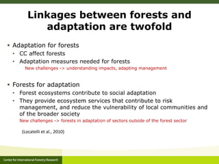 Forests, Climate Change and REDD+: A brief introduction