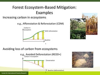 Forests, Climate Change and REDD+: A brief introduction