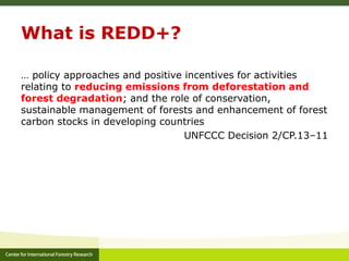 Forests, Climate Change and REDD+: A brief introduction