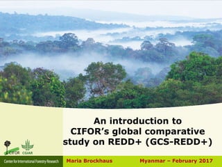 An introduction to
CIFOR’s global comparative
study on REDD+ (GCS-REDD+)
Maria Brockhaus Myanmar – February 2017
 