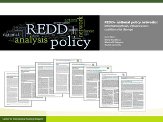 An introduction to CIFOR's global comparative study on REDD+ (GCS-REDD+)