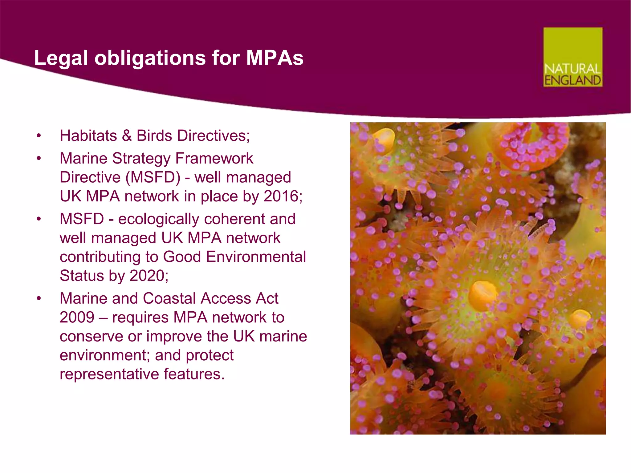 Legal obligations for MPAs


•   Habitats & Birds Directives;
•   Marine Strategy Framework
    Directive (MSFD) - well managed
    UK MPA network in place by 2016;
•   MSFD - ecologically coherent and
    well managed UK MPA network
    contributing to Good Environmental
    Status by 2020;
•   Marine and Coastal Access Act
    2009 – requires MPA network to
    conserve or improve the UK marine
    environment; and protect
    representative features.
 