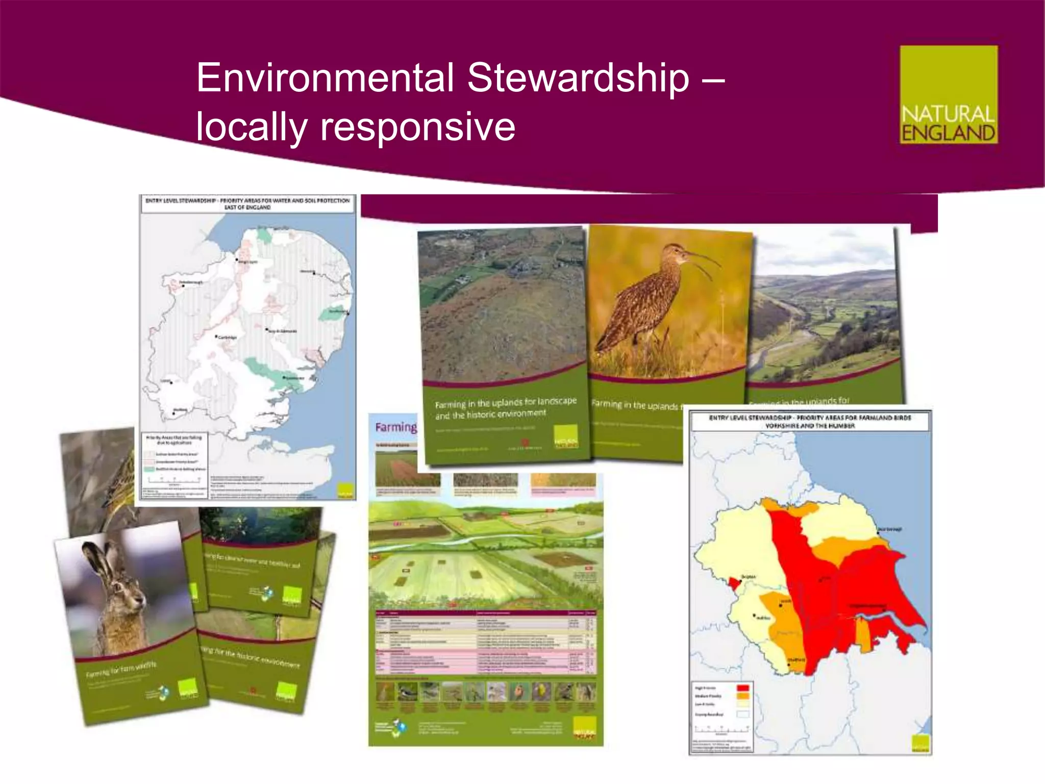 Environmental Stewardship –
locally responsive
 