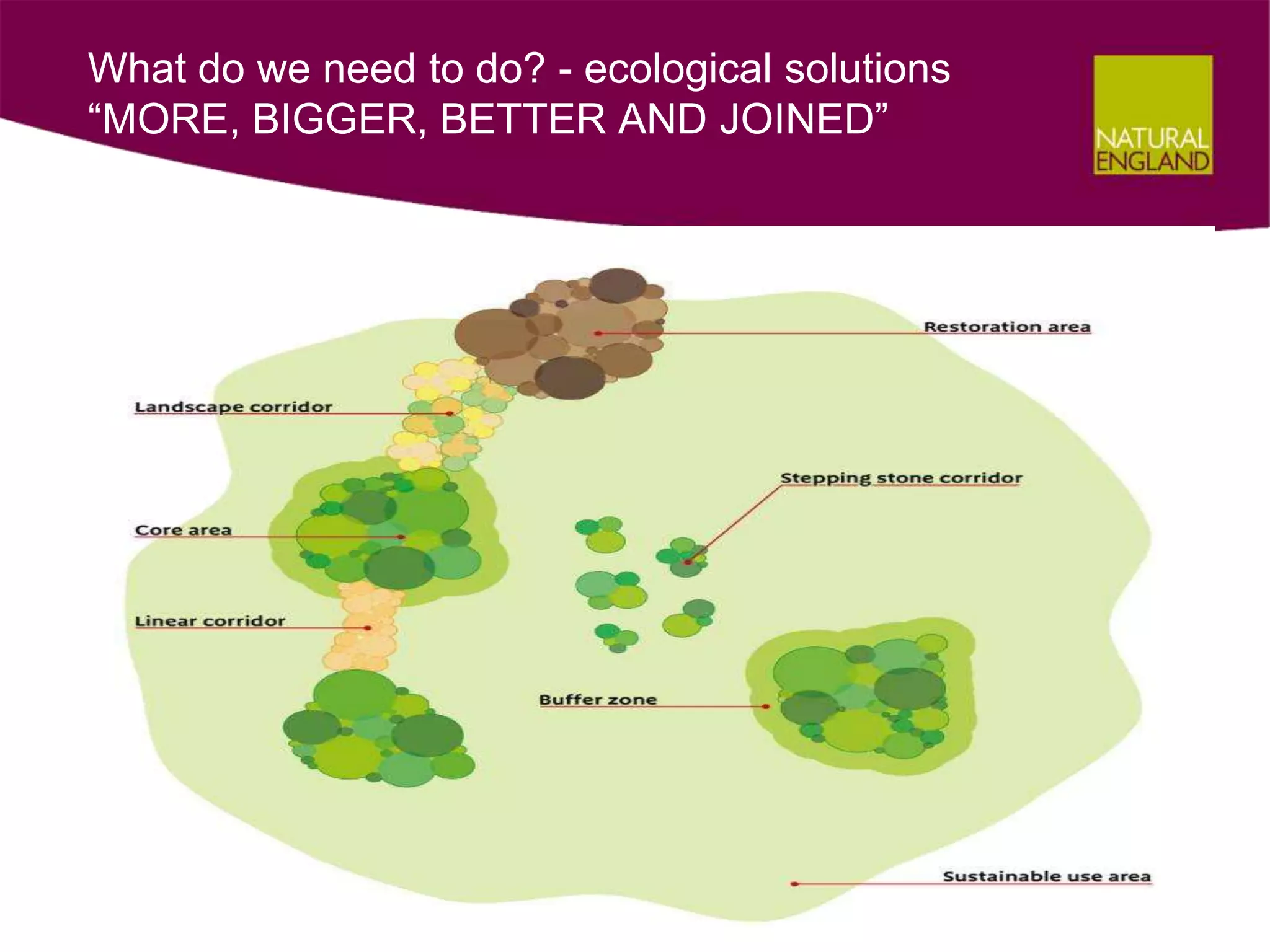 What do we need to do? - ecological solutions
“MORE, BIGGER, BETTER AND JOINED”
 